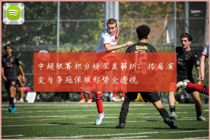 中超联赛积分榜深度解析:格局演变与争冠保级形势全透视