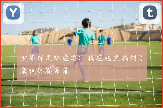 世界杯足球盛宴:我在这里找到了最佳观赛角落