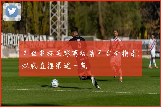 年世界杯足球赛观看平台全指南：权威直播渠道一览